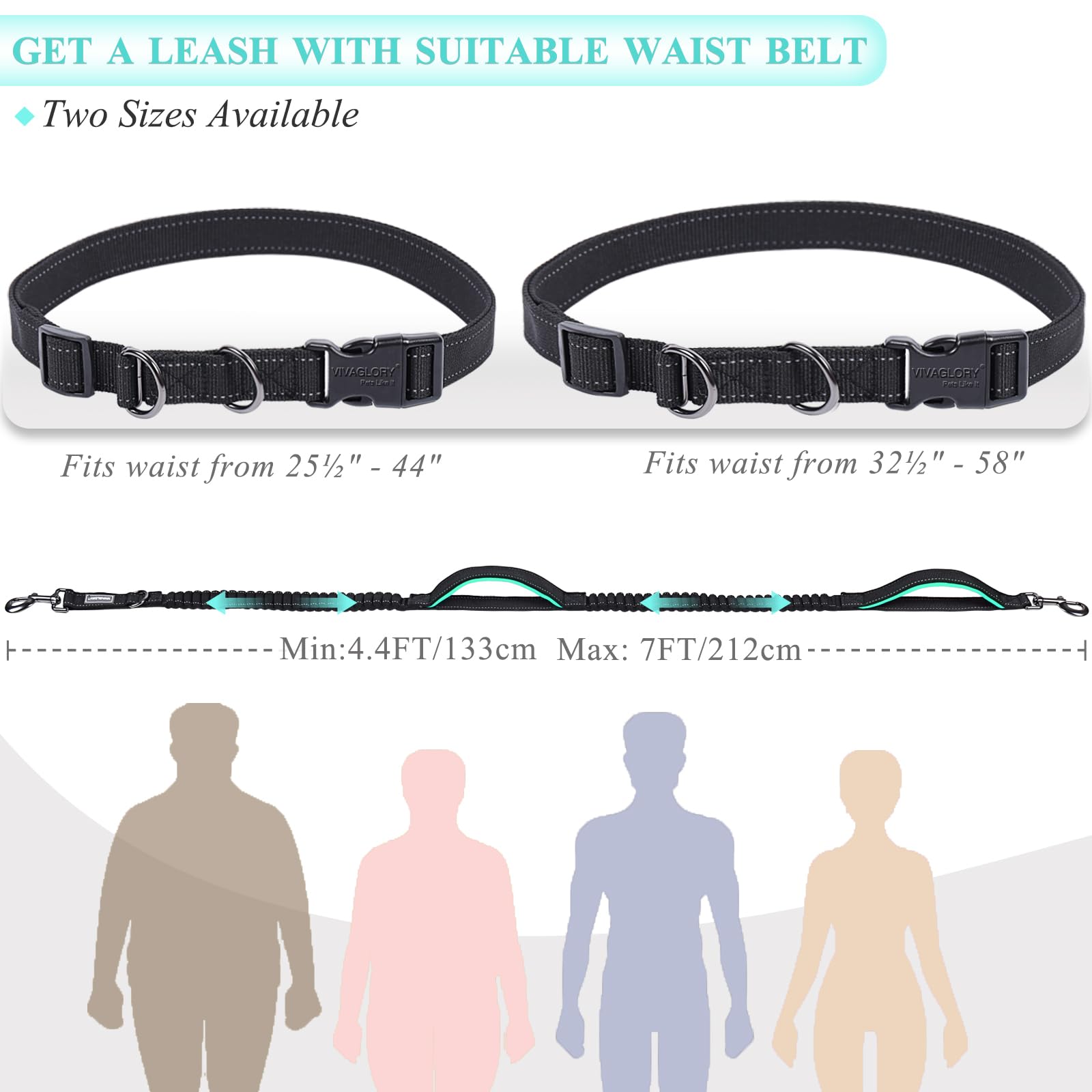 VIVAGLORY Hands Free Dog Lead Bungeetwin Waist Dog Lead with Belt for Running Walking & Jogging - Image 4
