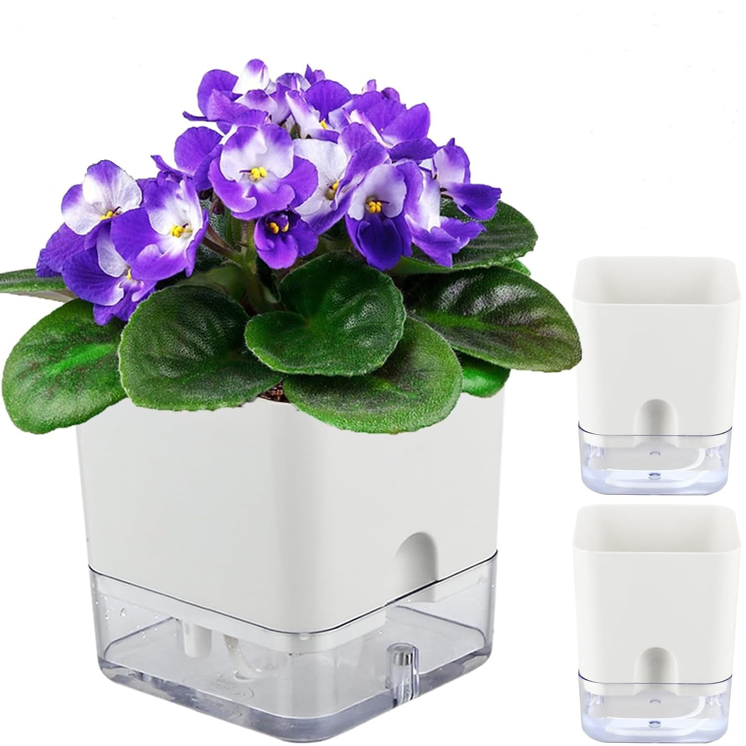 See full amazon price history chart for Onto Self Watering Plant Pot Big Size Square Shape| Indoor Outdoor Planter Pots for Balcony Home Garden Living Room 5 inch Size - Modern Plant Pot Plastic Plant Pots (White) Pack of 2 Onto Self Watering Plant Pot Big Size Square Shape| Indoor Outdoor Planter Pots for Balcony Home Garden Living Room 5 inch Size - Modern Plant Pot Plastic Plant Pots (White) Pack of 2 (B0CH9Y42FF) Amazon Price History, Amazon Price Tracker