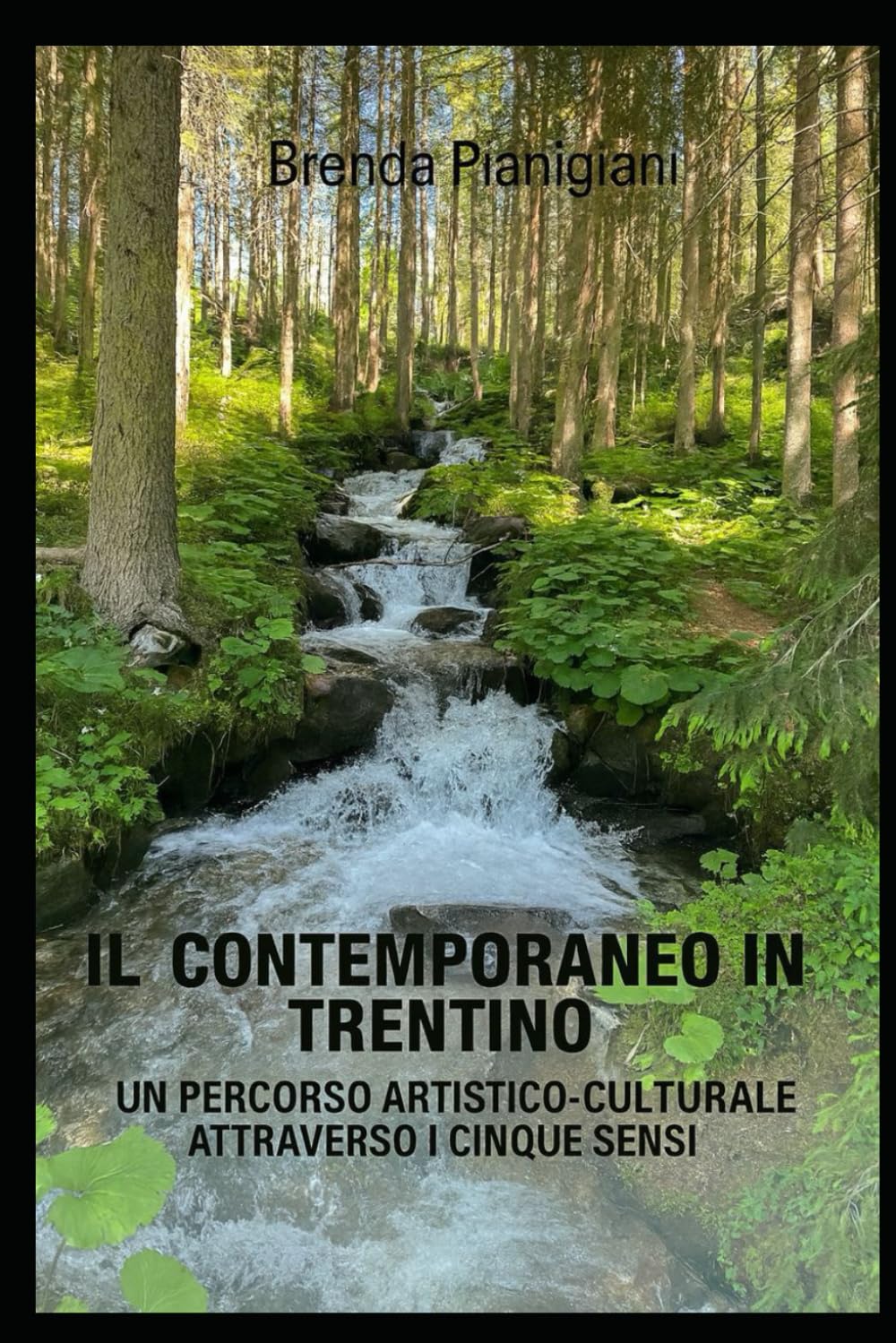 IL CONTEMPORANEO IN TRENTINO: UN PERCORSO ARTISTICO-CULTURALE ATTRAVERSI I CINQUE SENSI