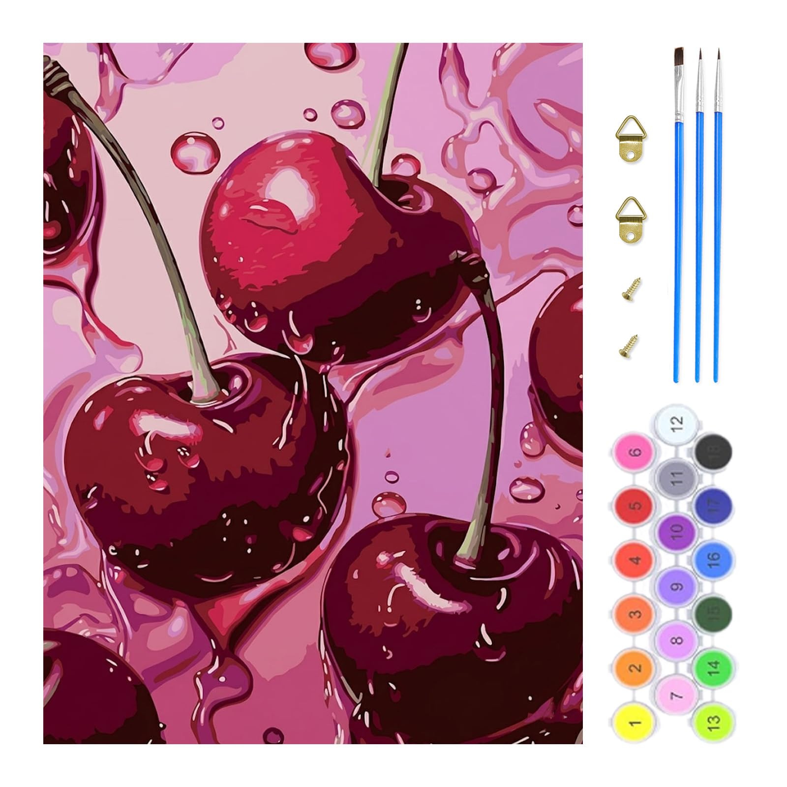 TOSTOG Paint by Numbers for Adults Oil Painting Kits for Adults Cherries Painting by Number Kits for Beginners for Home Decor(11.8×15.7inch)