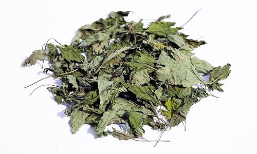 Miniatura 2 de Hojas de epazote secas hojas de epazote hierbas mexicanas naturales de 2 onzas y 4 onzas 2