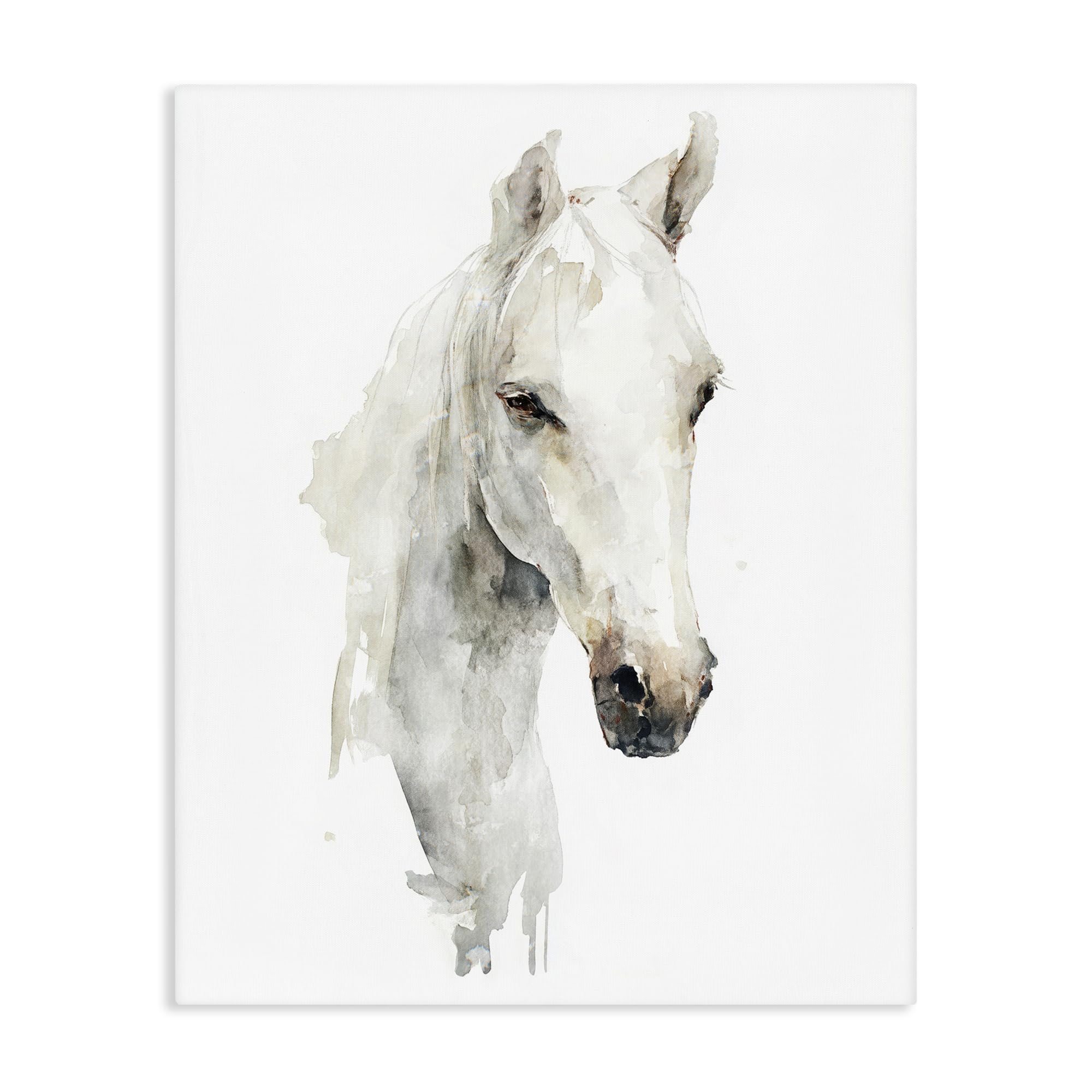 Stupell Industries Soul Of The Prairie 'Soul Of The Prairie'| Canvas Art
