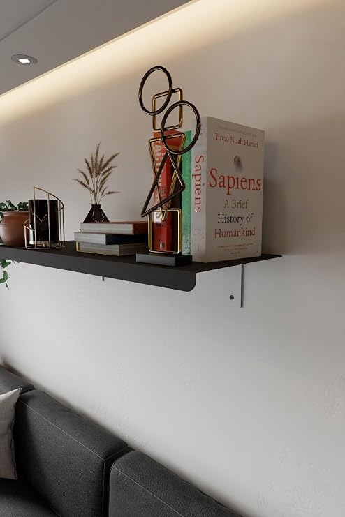 Risingmaber Siyah Metal Duvara Monte Duvar Rafı, Uçan Duvar Rafı ve Kitaplık Rafı (2 adet) MT118S