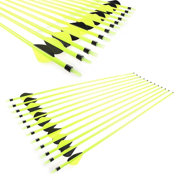 Buy JIANZD 30'' Targeting Arrows Carbon Fiber Hunting Arrows Outdoors