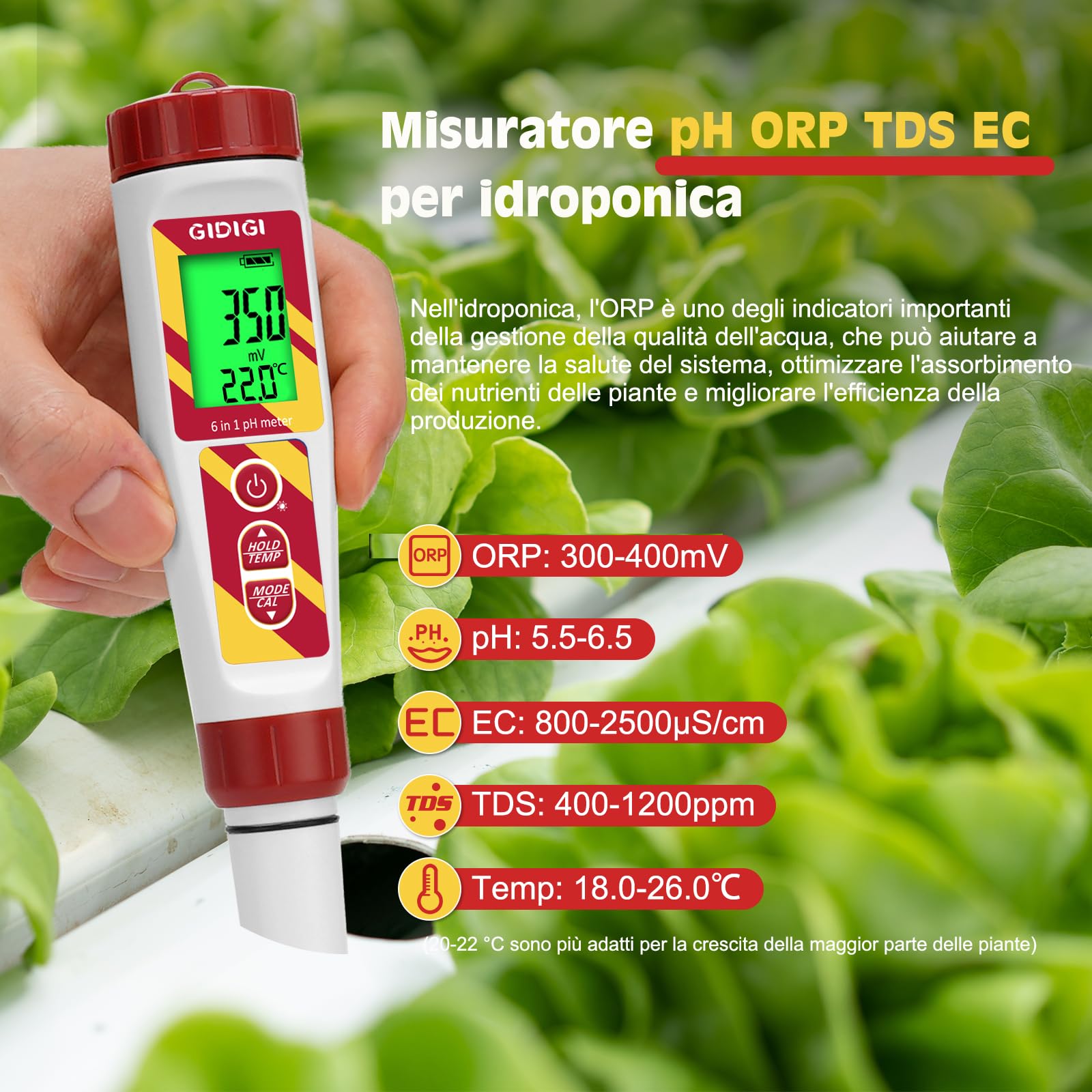 Misuratore pH digitale, 6 in 1 TDS EC Sale Temperatura pH ORP Tester con ORP 222mV Soluzione di calibrazione per piscina, spa, acqua potabile, idroponica, acquacoltura, trattamento delle acque,birra