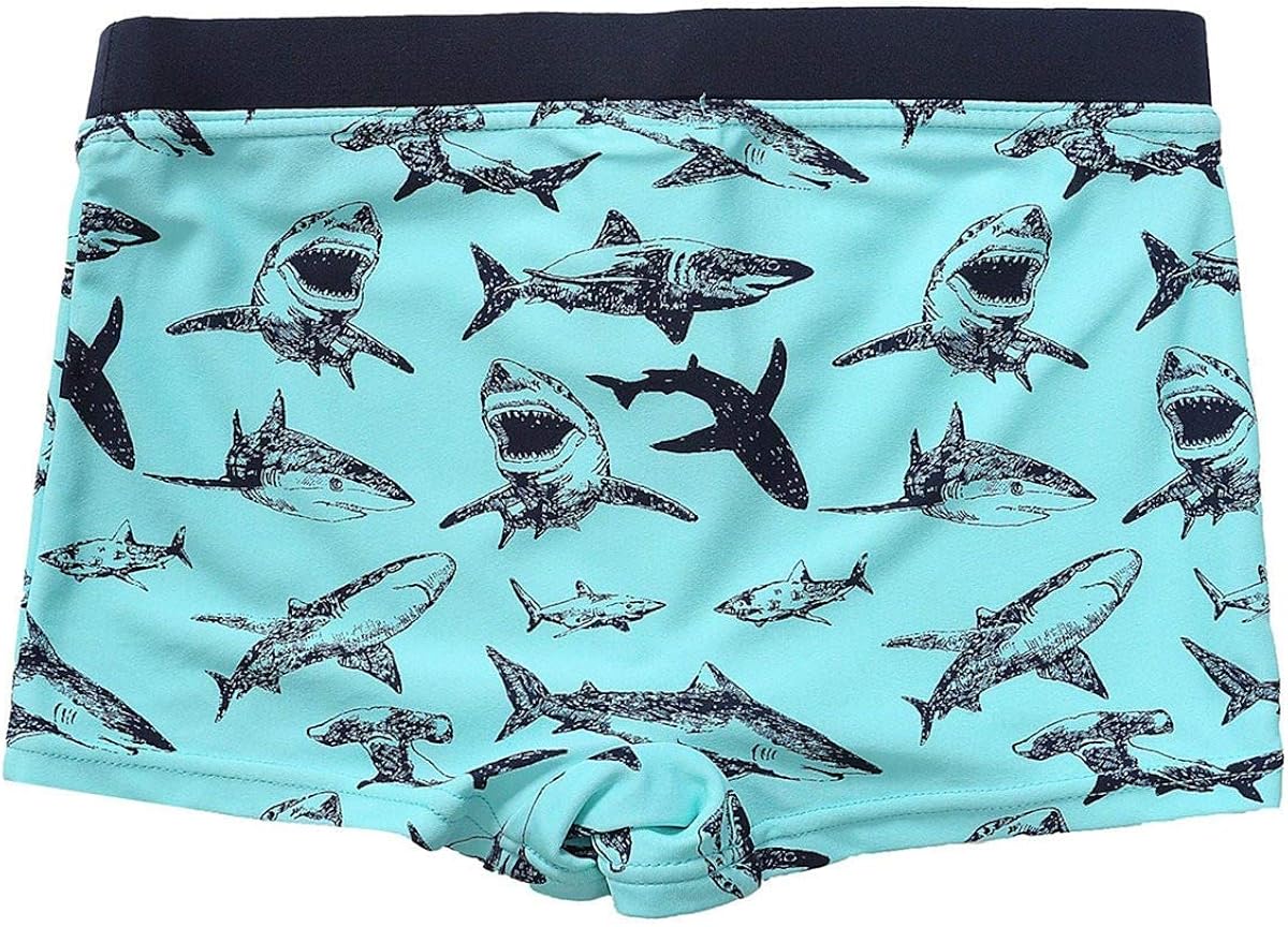beautyin Boy's Swim Trunks Toddler Printed Swim Shorts Kids Quick Dry Beachwear: Clothing, Shoes & Jewelry
