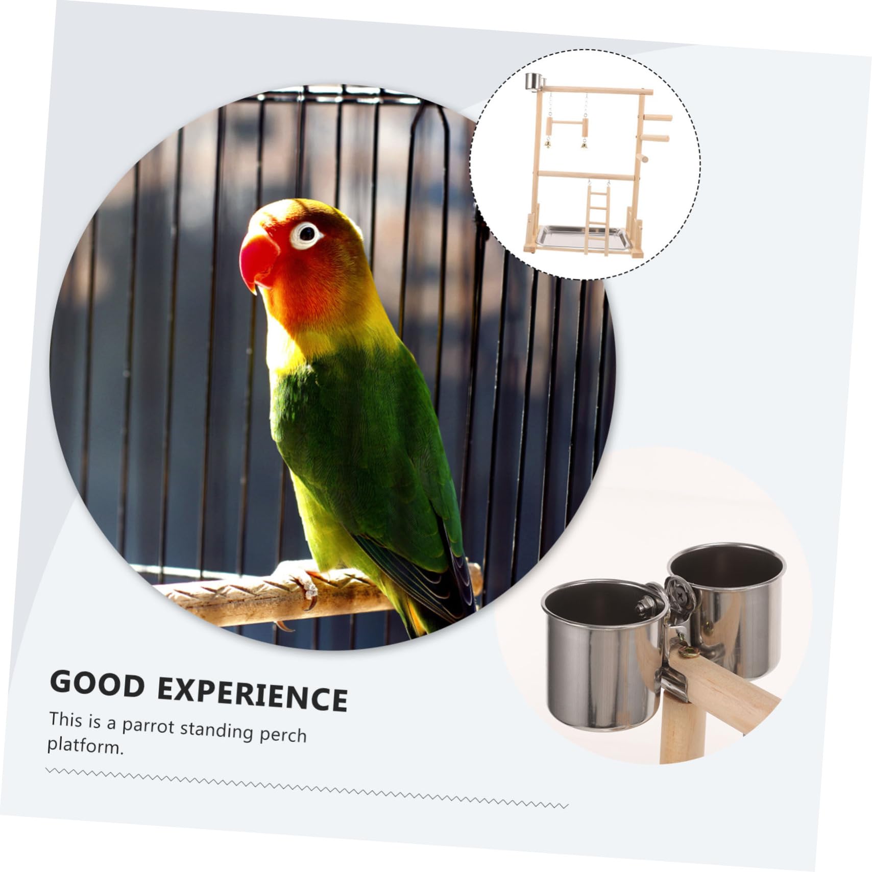 COLLBATH Support À Oiseaux En Bois Pour Perroquets Aire De Jeux Perchoir Jouets Pour Oiseaux Pour Calopsittes Perruches Support D'accessoires Créatif Sûr