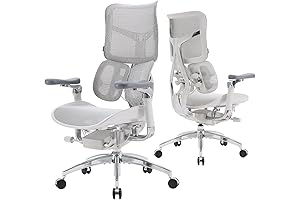 sihoo doro s300 Office Chair