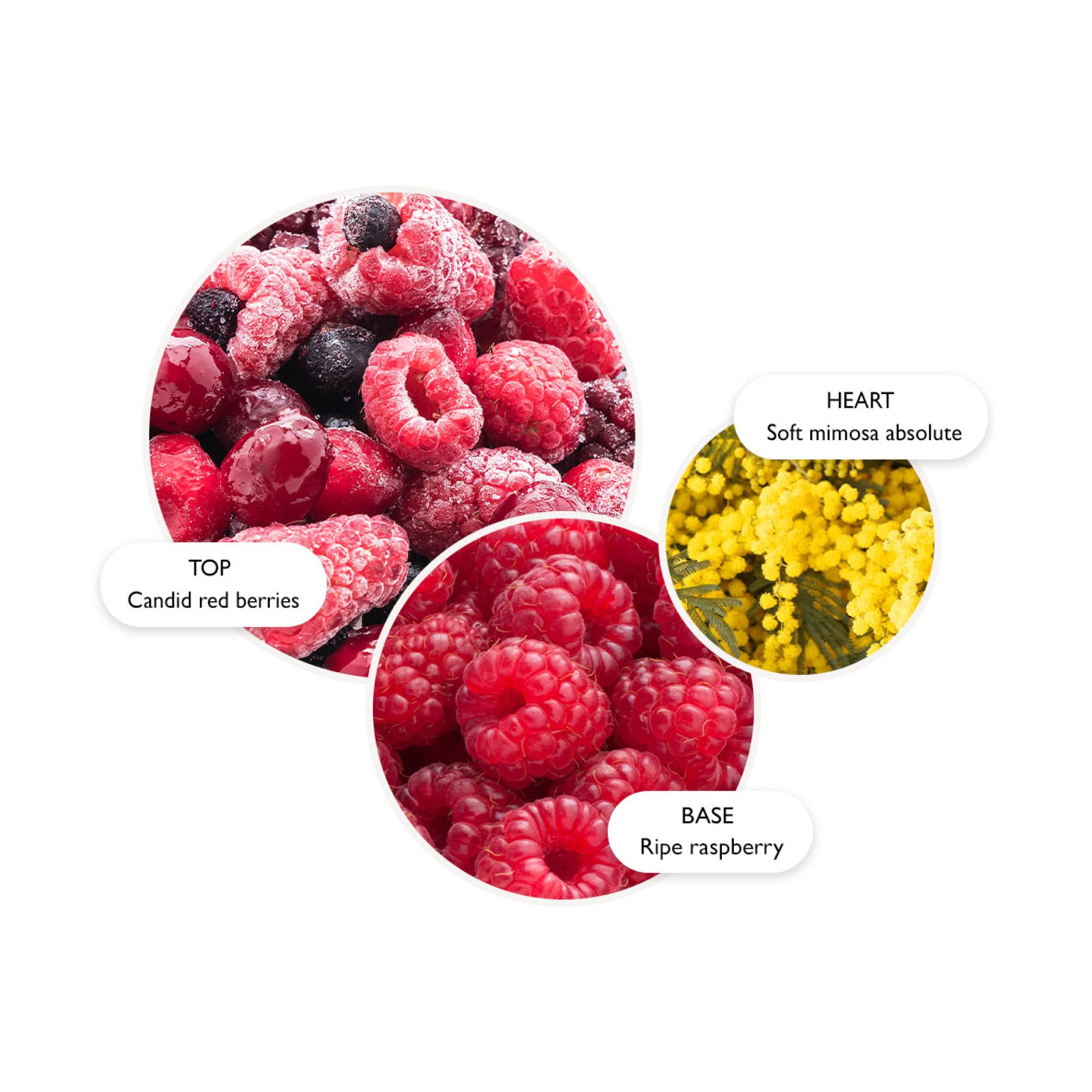 Molton Brown Merry Berries & Mimosa Bade- und Duschgel 300 ml