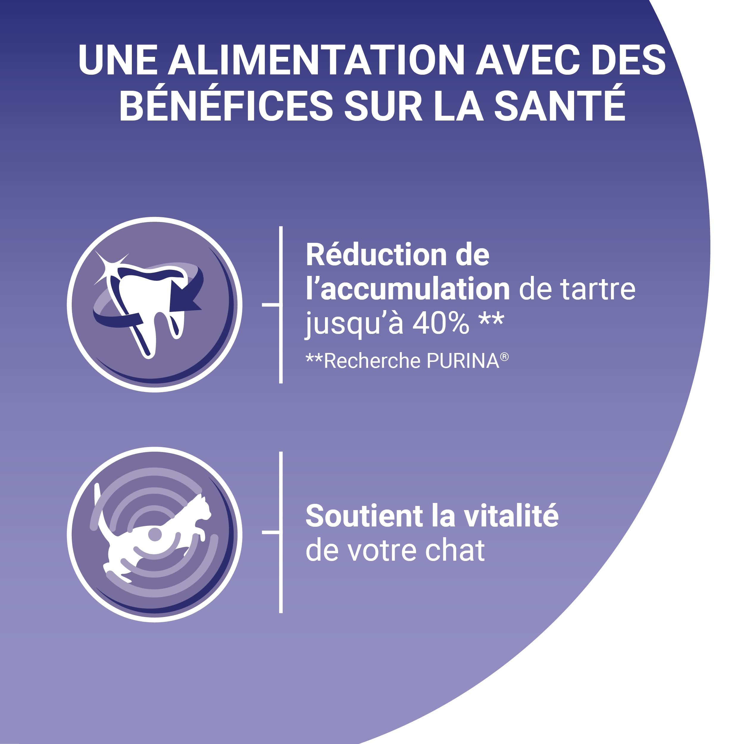PURINA ONE | BIFENSIS | Croquettes pour Chat Adulte | Renforce Le système immunitaire, améliore l'équilibre du microbiome, Aide à Maintenir Un système urinaire sain | Poulet | Sac | Lot de 6 x 1,5Kg