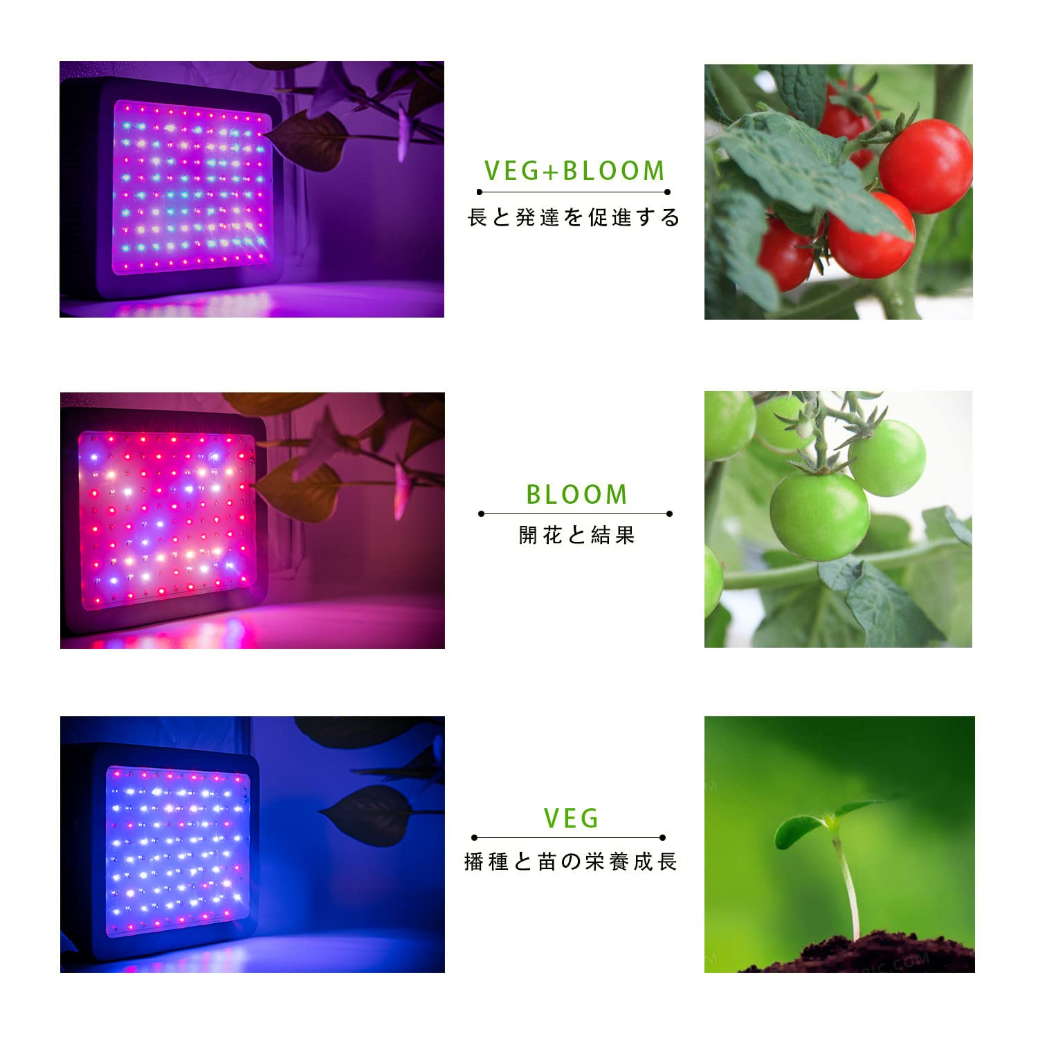 Amazon | 植物成長ライト 600W LED植物育成ライト フル