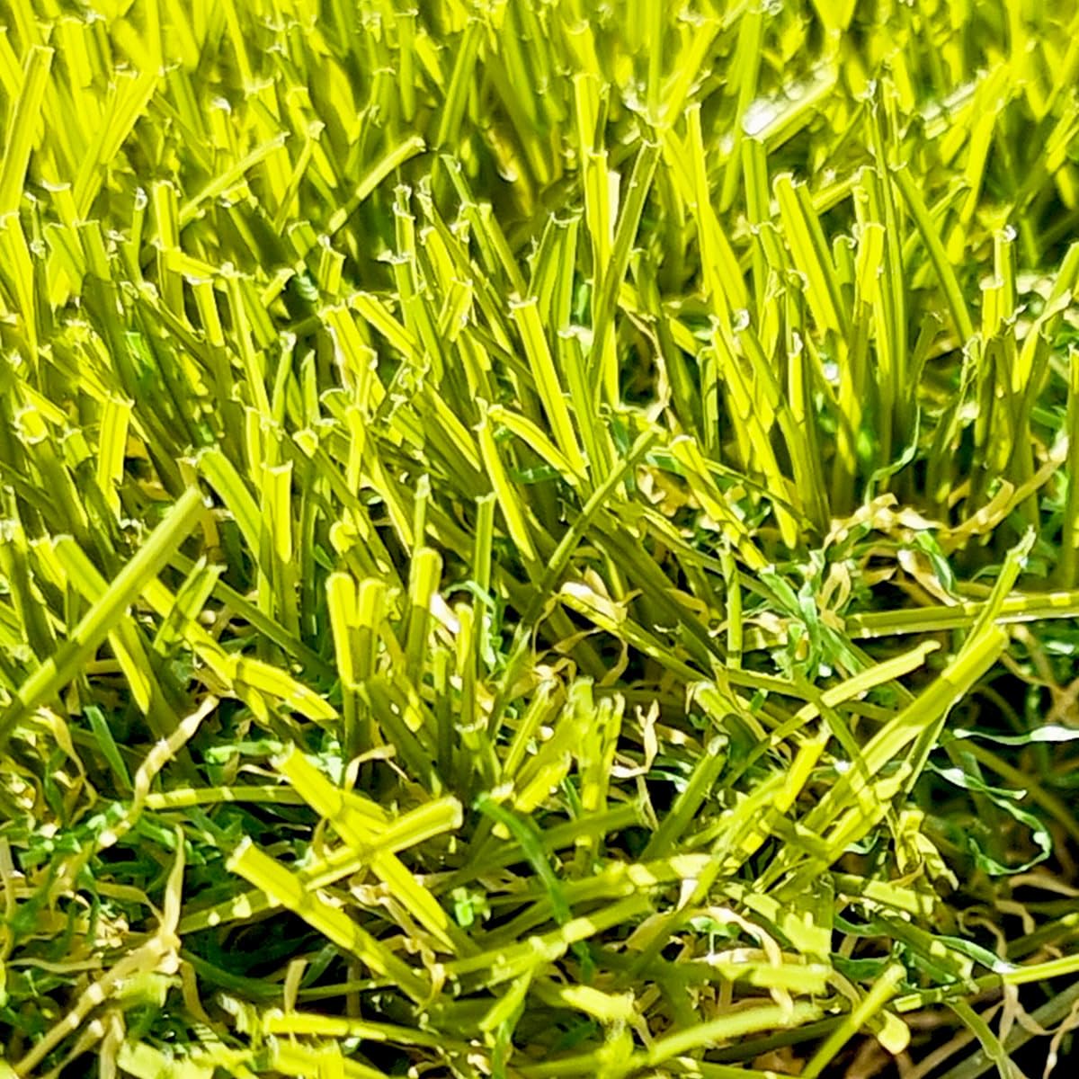 Gazon synthétique 40 mm rouleau 2x3 m – Pelouse artificielle haute densité aspect naturel – Idéal jardin, terrasse, balcon et piscine – MGS
