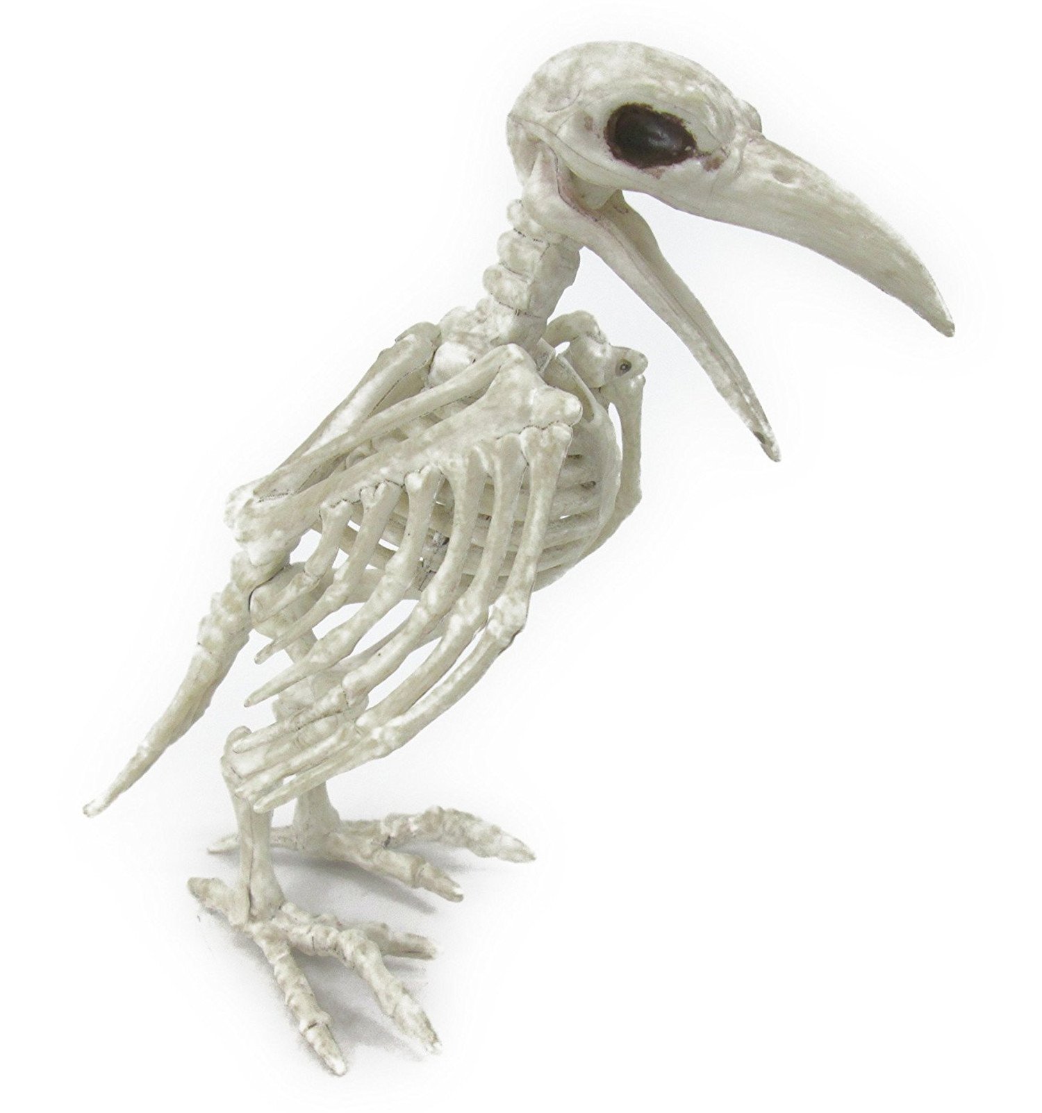 Amazon | My Stardust カラス グロテスクだけど ユニーク 鳥の 骸骨 骨