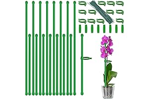 HAINANSTRY Plant Stakes: The Ultimate Support for Thriving Indoor and Outdoor Plants