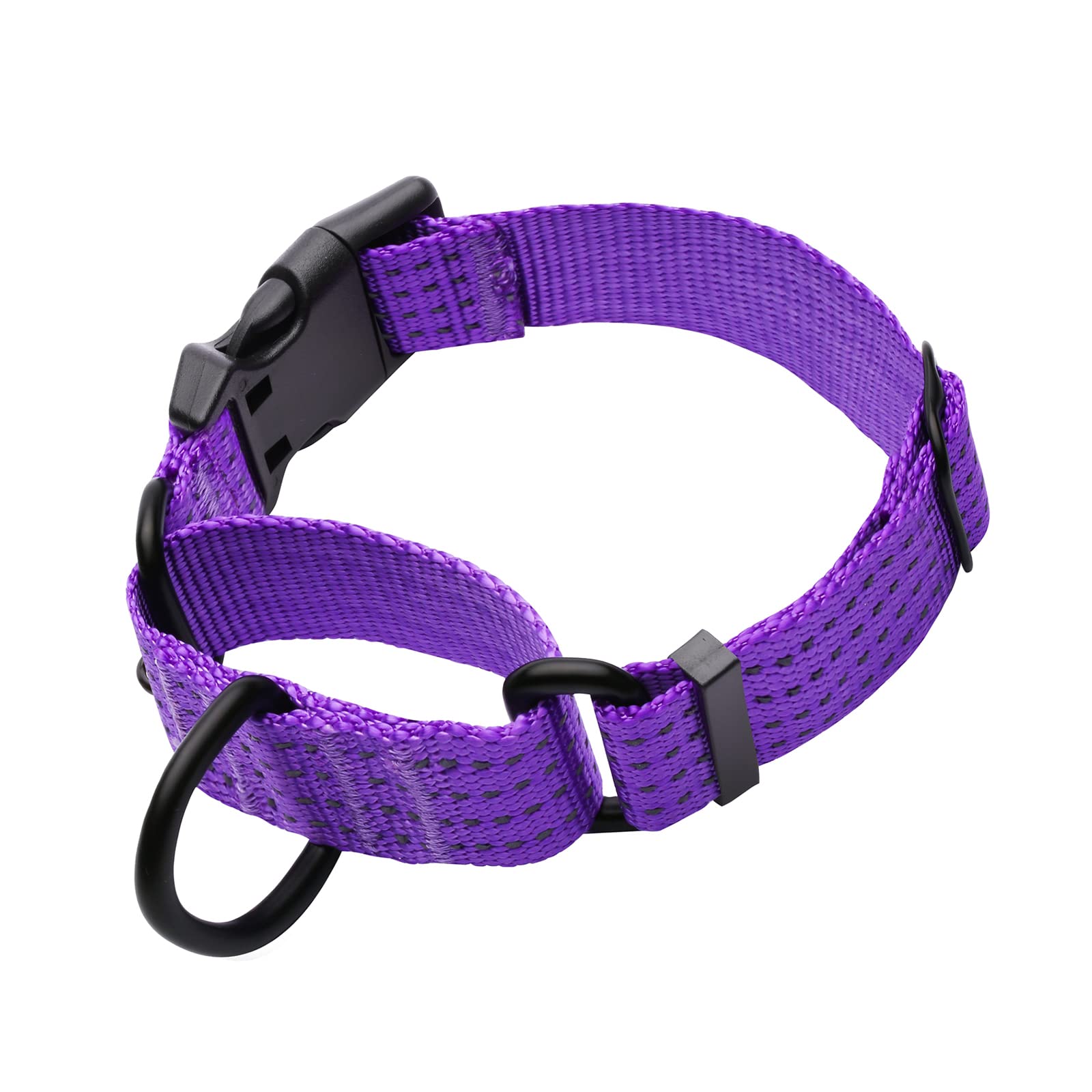Collar de perro LUCKYDC slip ideal para paseos urbanos y parques
