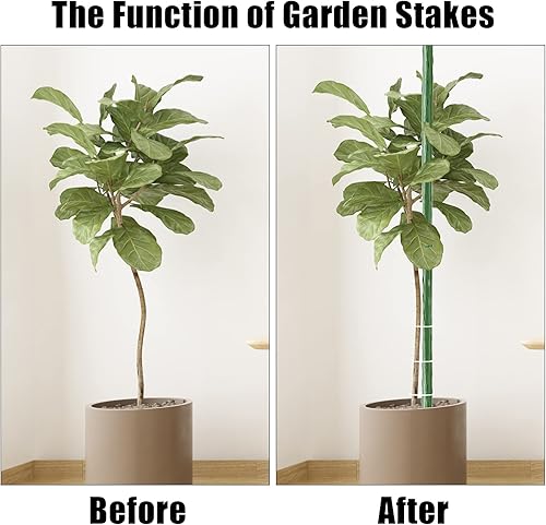 Miniatura 10 de FEED GARDEN Estacas de jardín de 30 pulgadas, 2.5 pies, paquete de 25 unidades, soporte resistente de varillas de metal para plantas, estacas de
