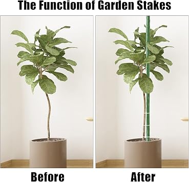 FEED GARDEN Garden Stakes 57 Inch 25 Pack,Sturdy Plant Metal Sticks Support,Plastic Coated Plant Stakes,Tomato Stakes,Beans,Trees