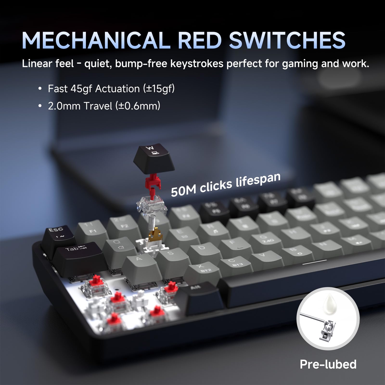 Dierya DK68 Tastiera Gaming Wireless,60% Tastiera Meccanica Bluetooth/2.4G/USB-C RGB,Interruttore Rosso,Double-Shot ABS Keycaps Compatibile con Win/Mac,Grigio nero-A(Layout US,QWERTY)
