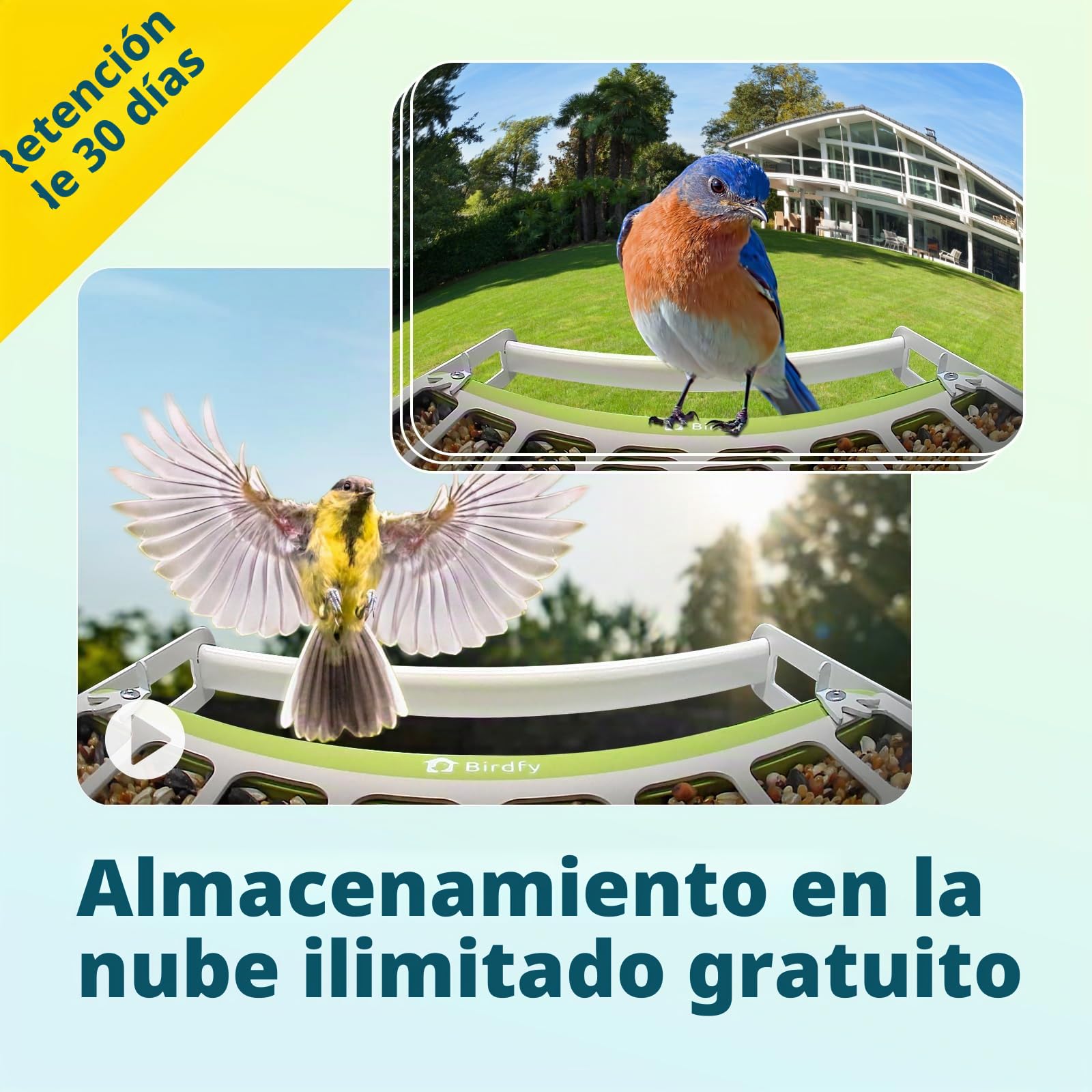 Birdfy Metal Comederos para Pajaros con Camara para Observación de Aves en Vivo, 1080P inalámbrico Bird Feeder con Visión Nocturna en Color, Notificaciones en Tiempo Real, Grabación Automática