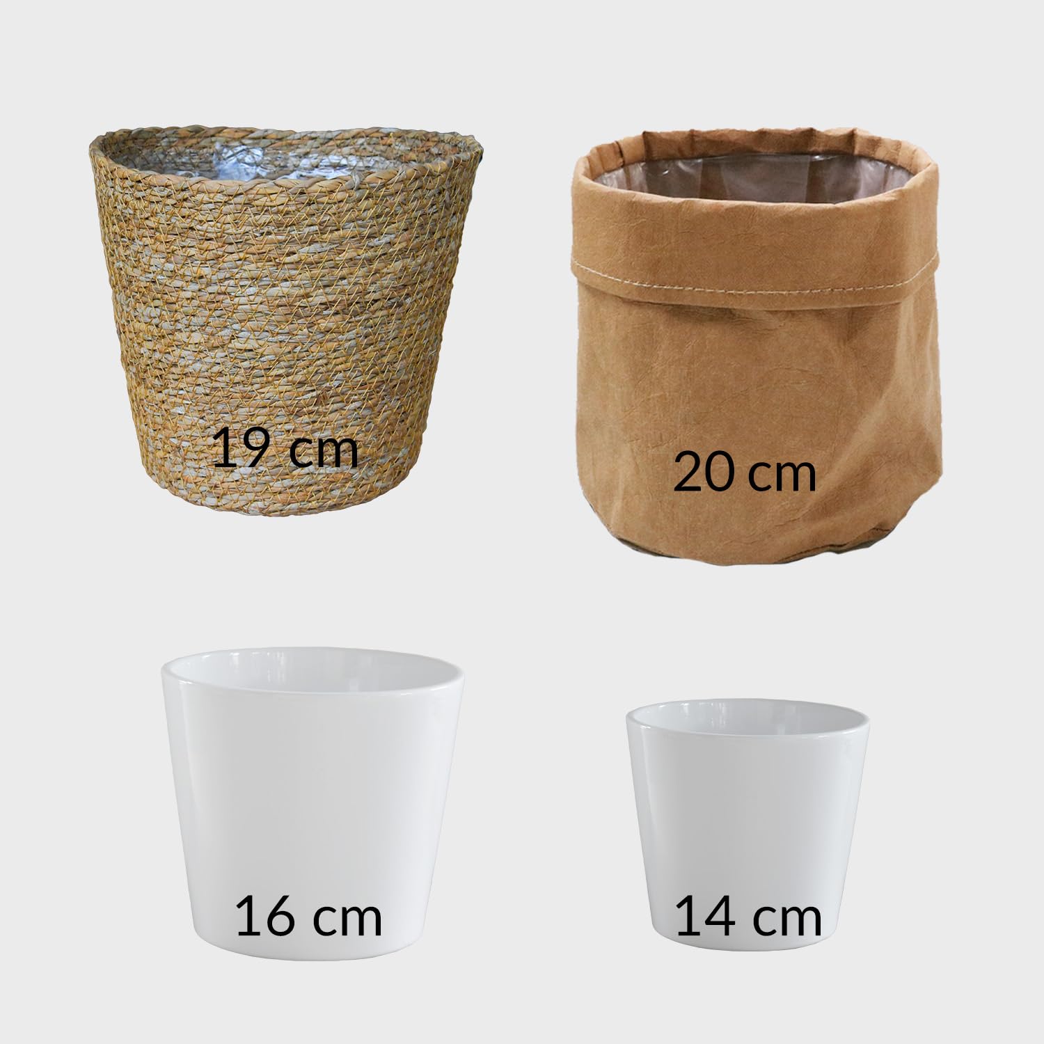 4er Zimmerpflanzen Set mit Übertöpfen – Bergpalme, Monstera, Philodendron Birkin, Glücksfeder – pflegeleicht, luftreinigend – Höhe 20–70 cm, Töpfe 10,5–17 cm – frisch aus der Gärtnerei