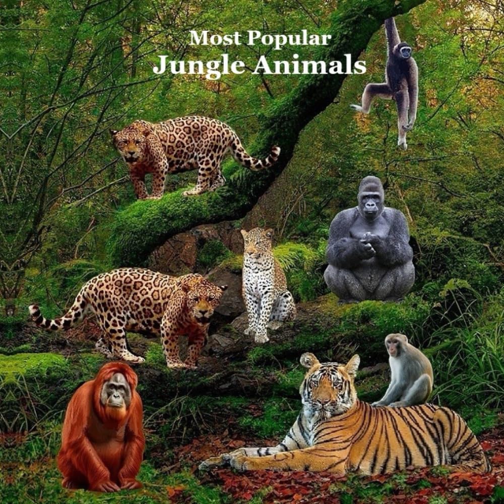 Most Popular Jungle Animals Kids Book: Great Children’s Book About Animals of the Jungle