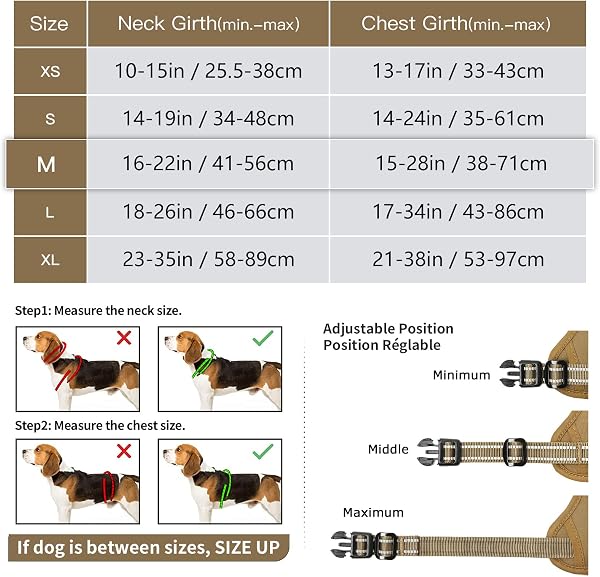 HEELE Harnais Chien, Harnais Chien Anti Traction, Réfléchissant, avec Poignée Rembourrée Contrôl, 2 Anneaux Métal, Harnais pour Petit Moyen et Grand Chien, Marron, M - 2