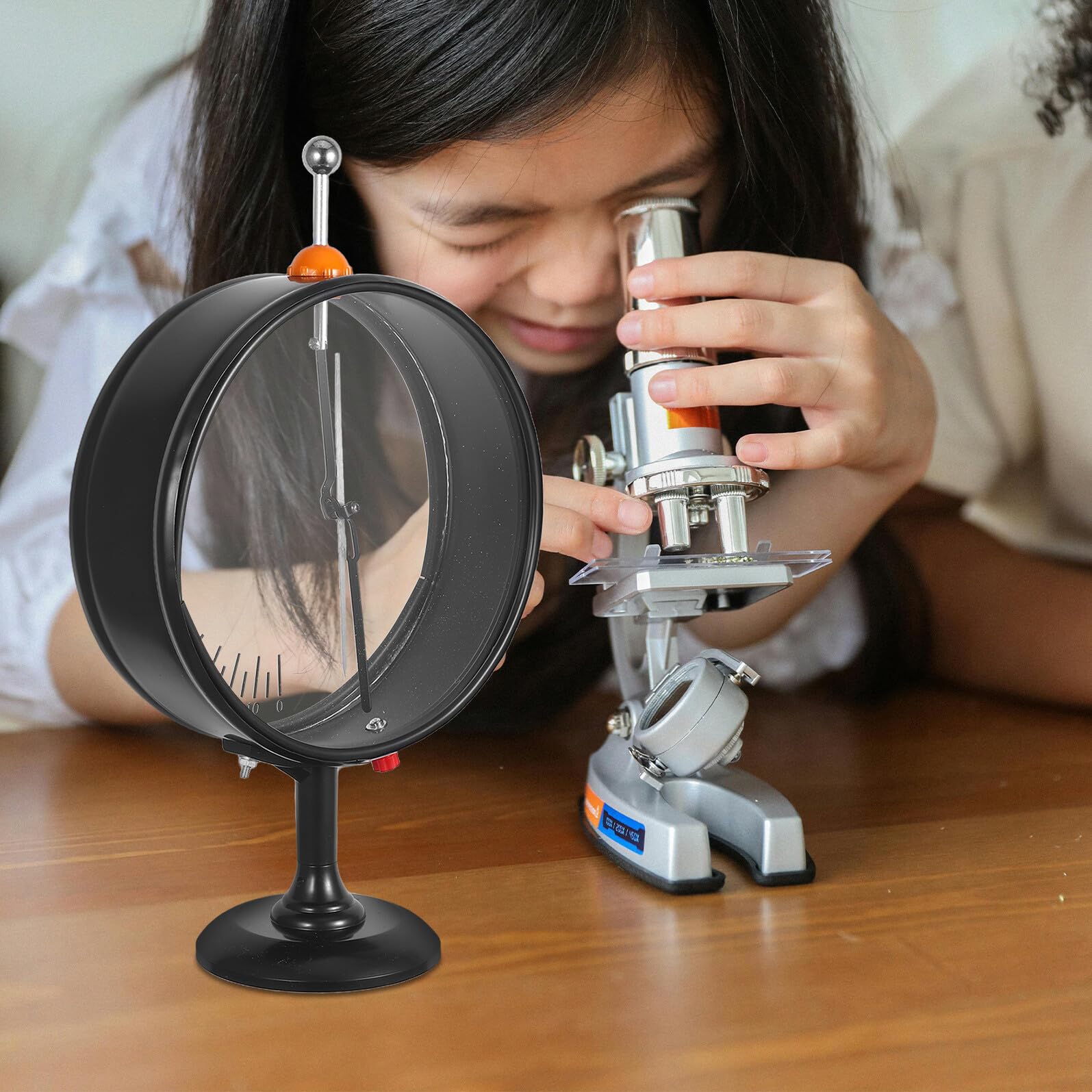 Housoutil Électroscope à Pointeur pour Détection Électrostatique Instrument de Laboratoire Outil Pédagogique de Physique pour Éducation Scientifique