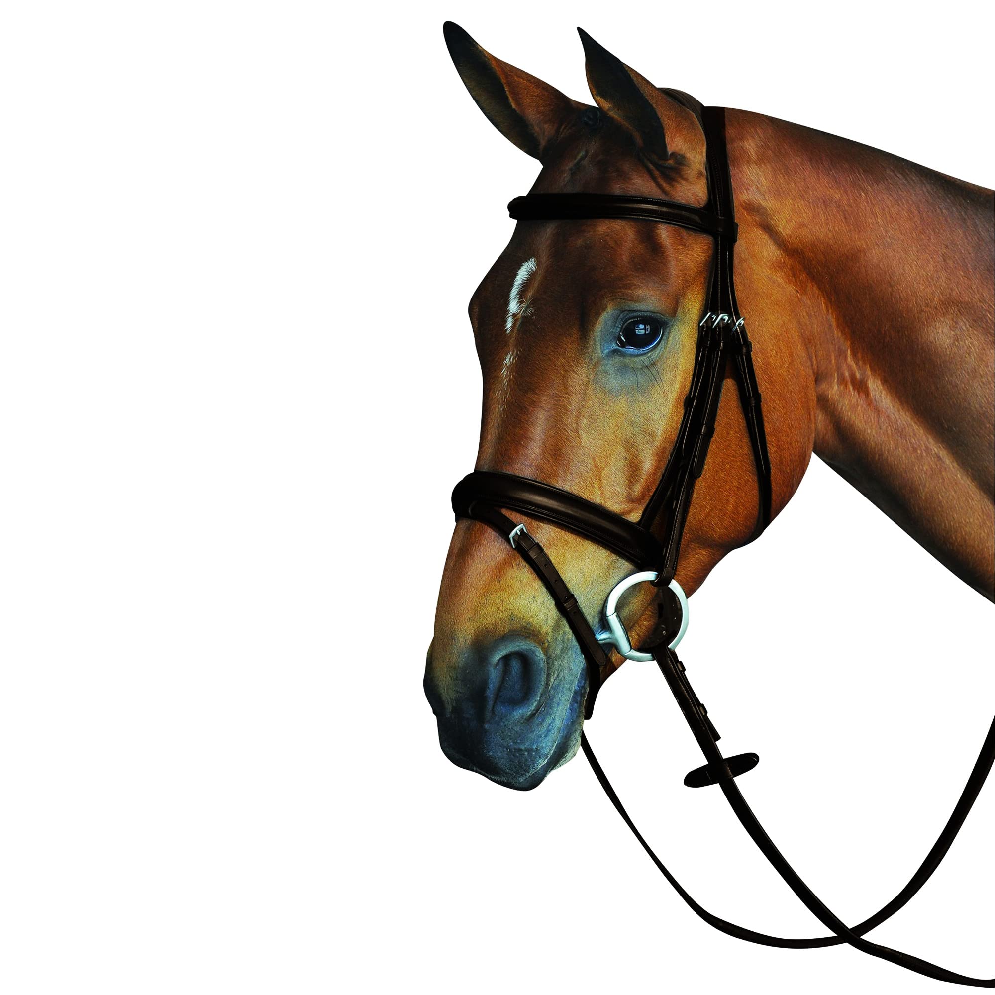Collegiate Comfort Crown Padded Raised Flash Bridle, Black, Warmblood