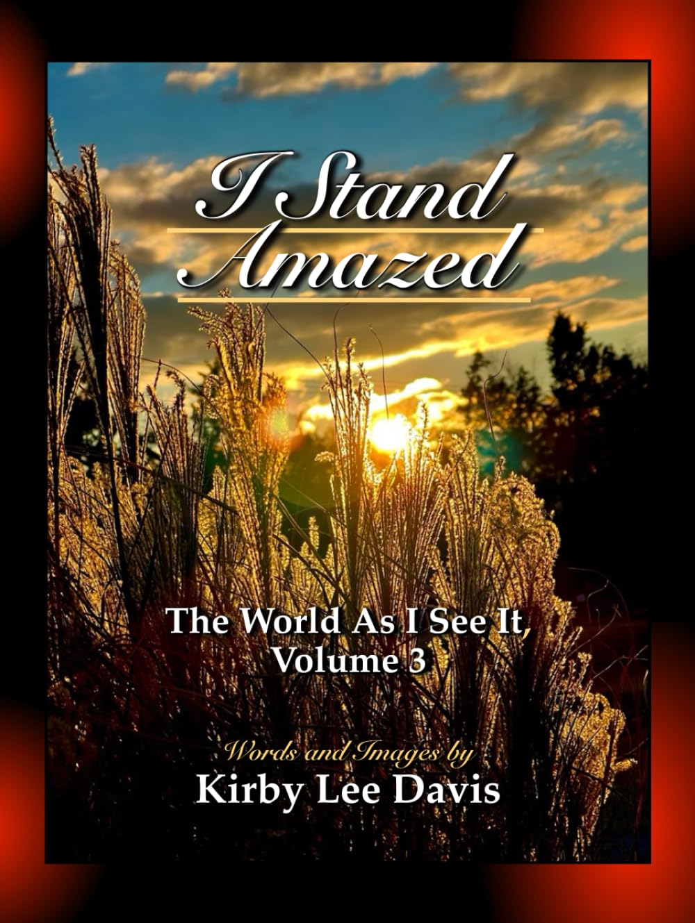 I Stand Amazed: The World As I See It, Volume 3