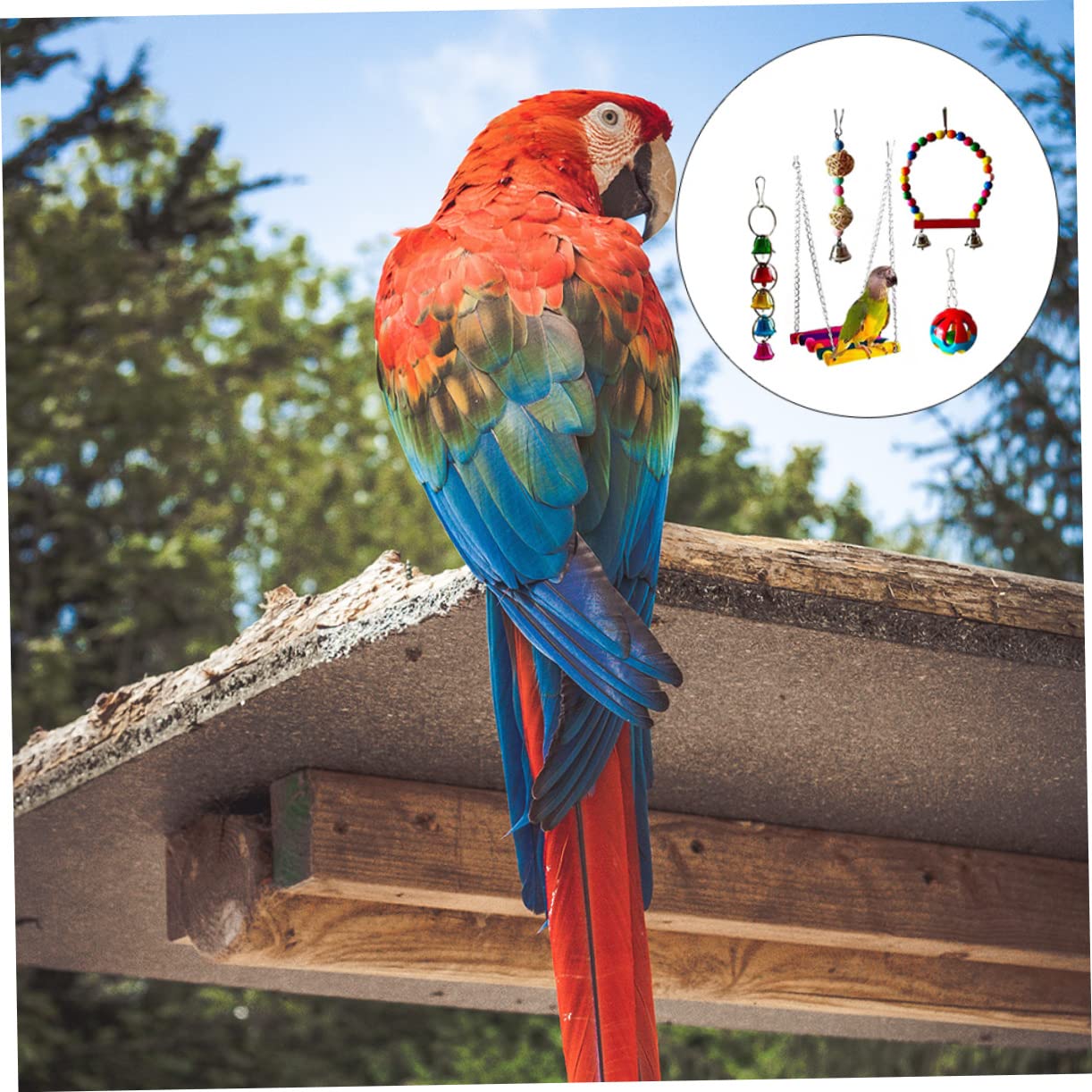 Yardwe 5pièces Jouets à Mâcher pour Perroquet Jouets Amusants pour Oiseaux Accessoires De Jeu pour Oiseaux