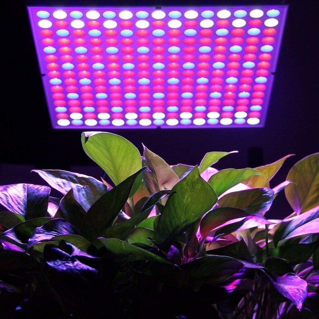 Froadp Lámpara LED de espectro completo de 45 W para plantas de jardín, plantas y plantas, 225 ledes, rojo y azul, para plantas de interior, invernadero, laboratorio de plantas, verduras y flores,