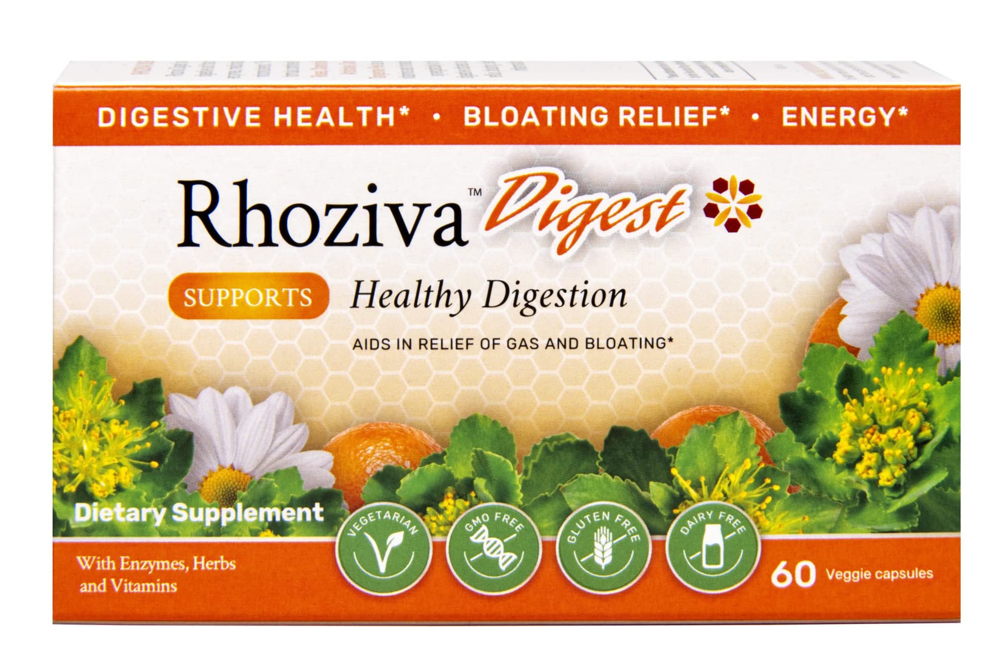 Digest Gut Health Supplement with Digestive Enzymes for Men & Women - Probiotics & Prebiotics for Gut Health Supplement - Daily Synbiotic Gut Vitamins for Men & Women - 60 Capsules