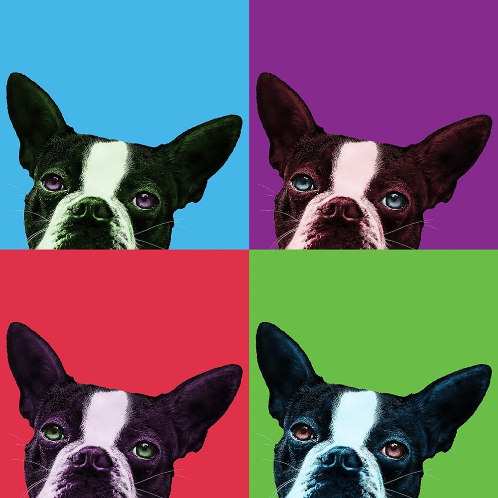 Loyalty Pop Poster Print by Jon Bertelli (24 x 24)