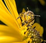 Review Image by Jean S