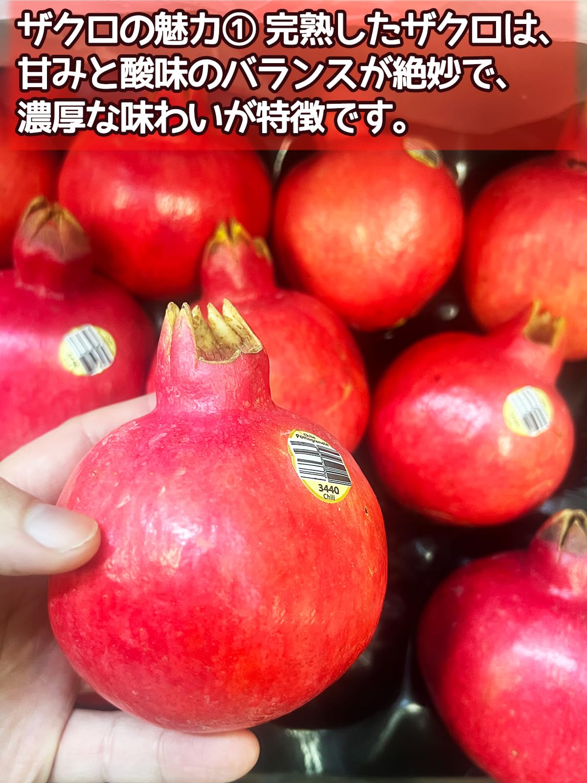 食品 ざくろ 石榴 約4kg 14玉前後 フルーツ 果物 家庭用