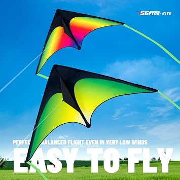 Delta Kite set for Kids and Adults, Extremely Easy to Fly for Beginners, Kites for Beach Trips and Parks Family Outdoor Games and Activities