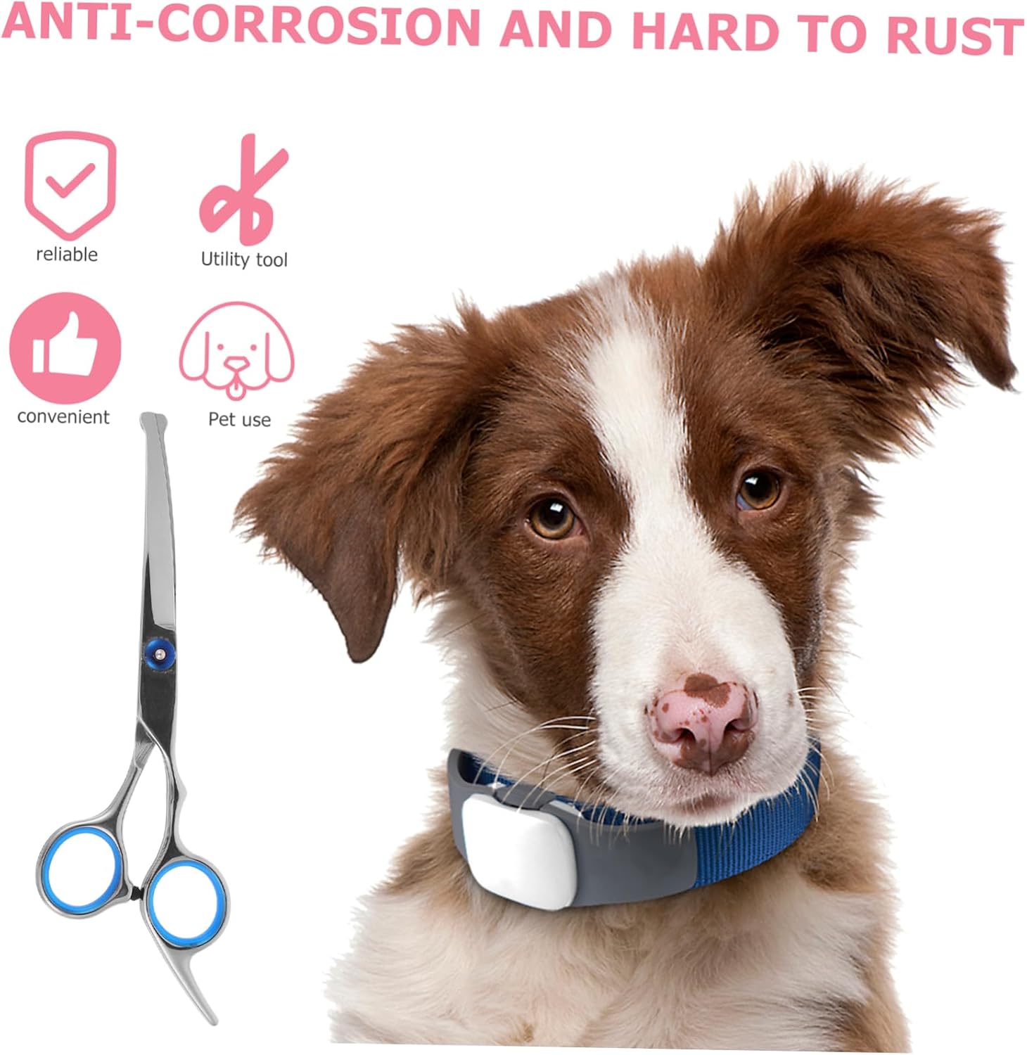 POPETPOP Professional Pet Hairdressing Scissors Set Dog Hair Clippers for Grooming Pet Hair Trimmer Round Head Shears Stainless Steel for Home Salon Use