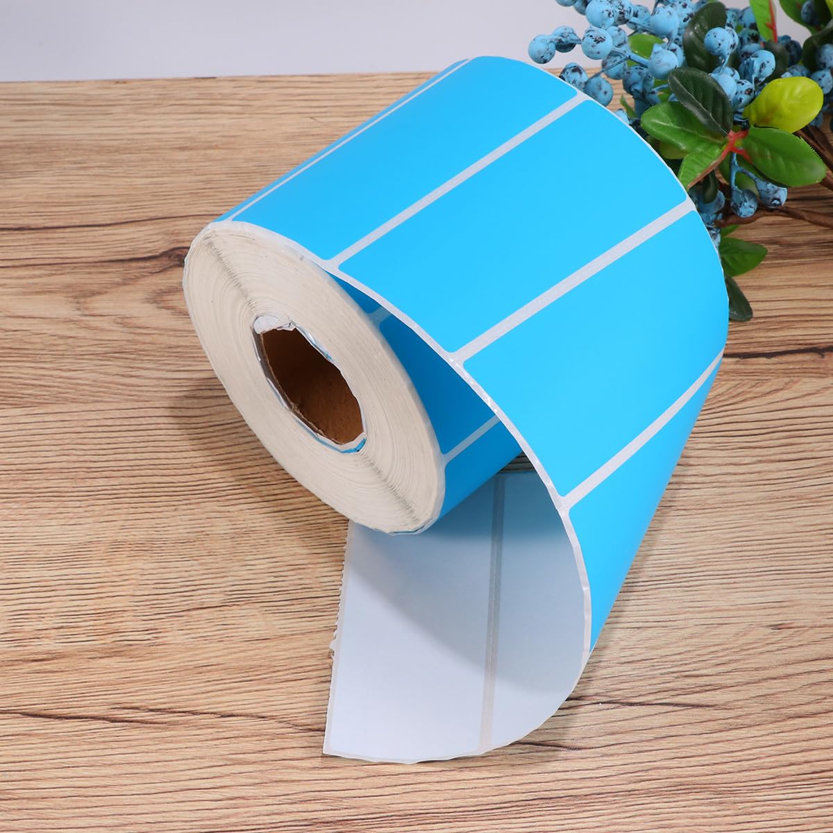 Etichette Adesive Circolari in Carta Set Da 1000 Pezzi 95x40 Mm Per Ufficio Aula Festa