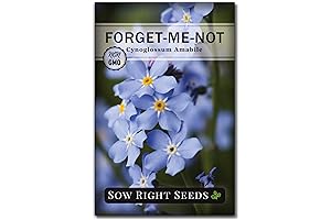 Sow Right Seeds - Small Blue Memory Blooms