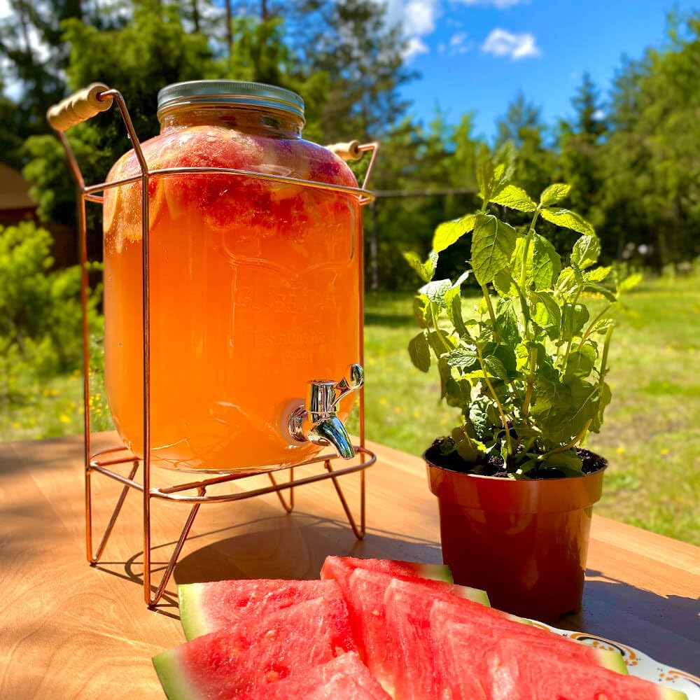 Distribuidor de Bebidas con Grifo Antigoteo - Dispensador de Bebidas de Agua de Vidrio con Soporte y Tapa - Distribuidor de Limonada de 5 litros