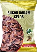 Sugar Inshell Badam Kadwa, Diabetes Almonds, 100 g