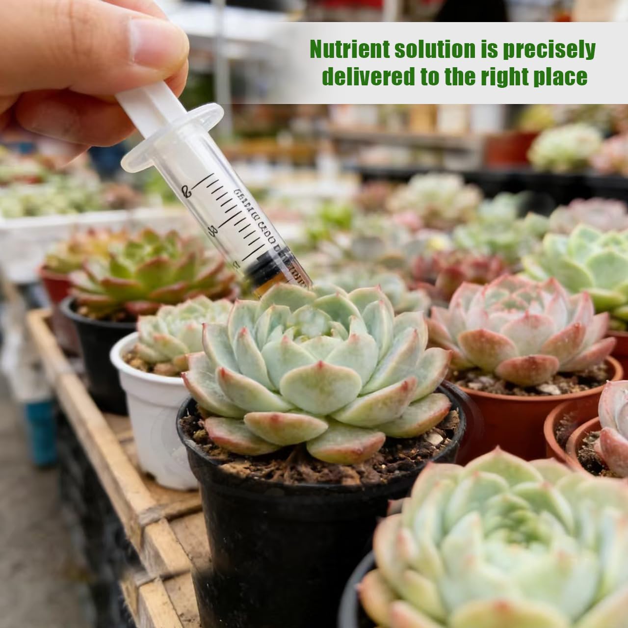 Pack of 10 20 ml Syringes, Disposable Syringe without Needle, Luer Lock Syringe, for Refilling and Measuring Liquids, Laboratories, Animal Feeding