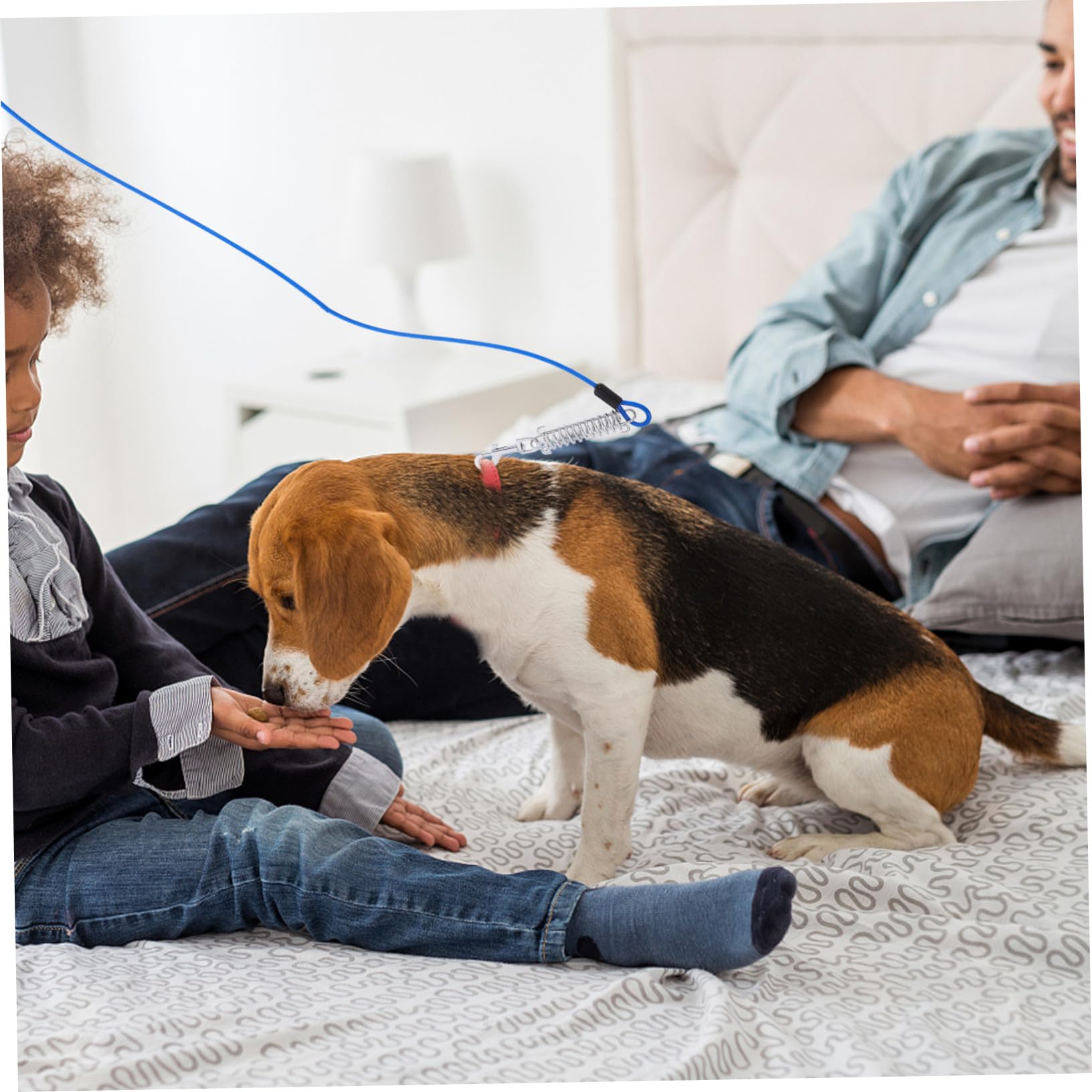 Laisse Chien Solide avec Crochet Pivotant et Ressort Amortisseur Câble pour Petit et Moyen Animal Attache Rapide et Flexible sans Nœuds