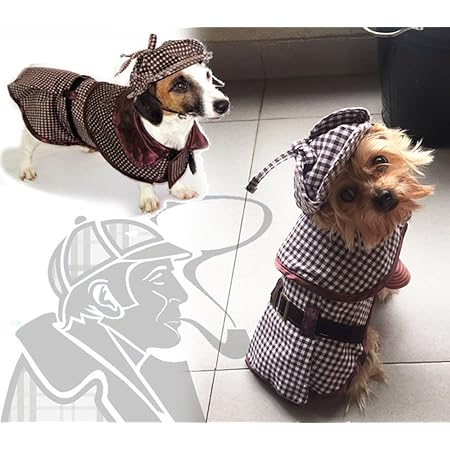 hound dog clothes