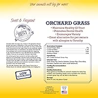 Vista 2 de Grandpa's Best Orchard Grass Bale, 40 oz