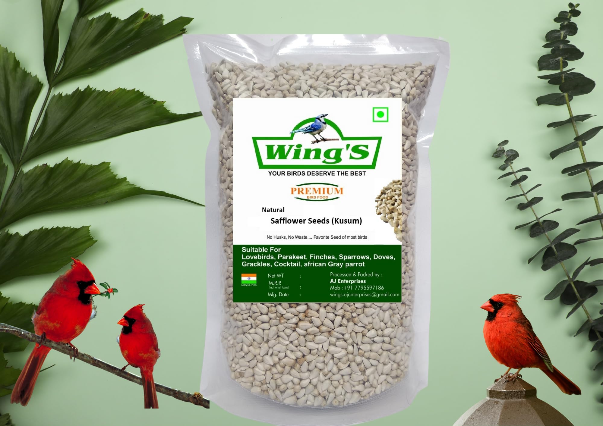 Wings Premium Safflower Bird Seed(Kusum Beej/Kardi Seeds) for Lovebirds, Macaws, African Grey, Conures, Cockatiels, Cockatoo (Natural, 700 gm (Pack of 1)) (B09FGV6MQW) Amazon Price History, Amazon Price Tracker