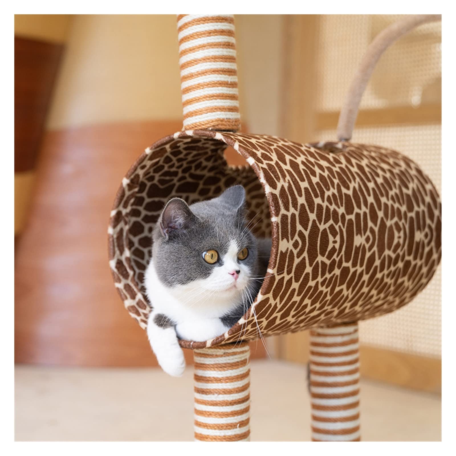 Centro de Actividades para Gatos Gato Jirafa Marco de Escalada Arena for Gatos un pequeño Estante for sin ocupación Juguete for Suministros for Mascotas