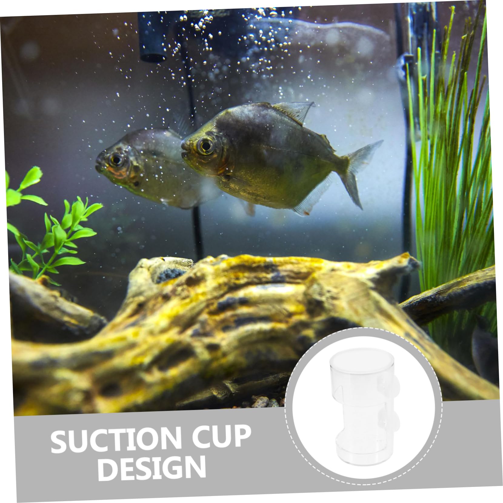 Levemolo Fish Tank Circle Floating Feeding Circle Aquarium Feeder Ring Fish Food Feeding Rings Aquarium Supplies