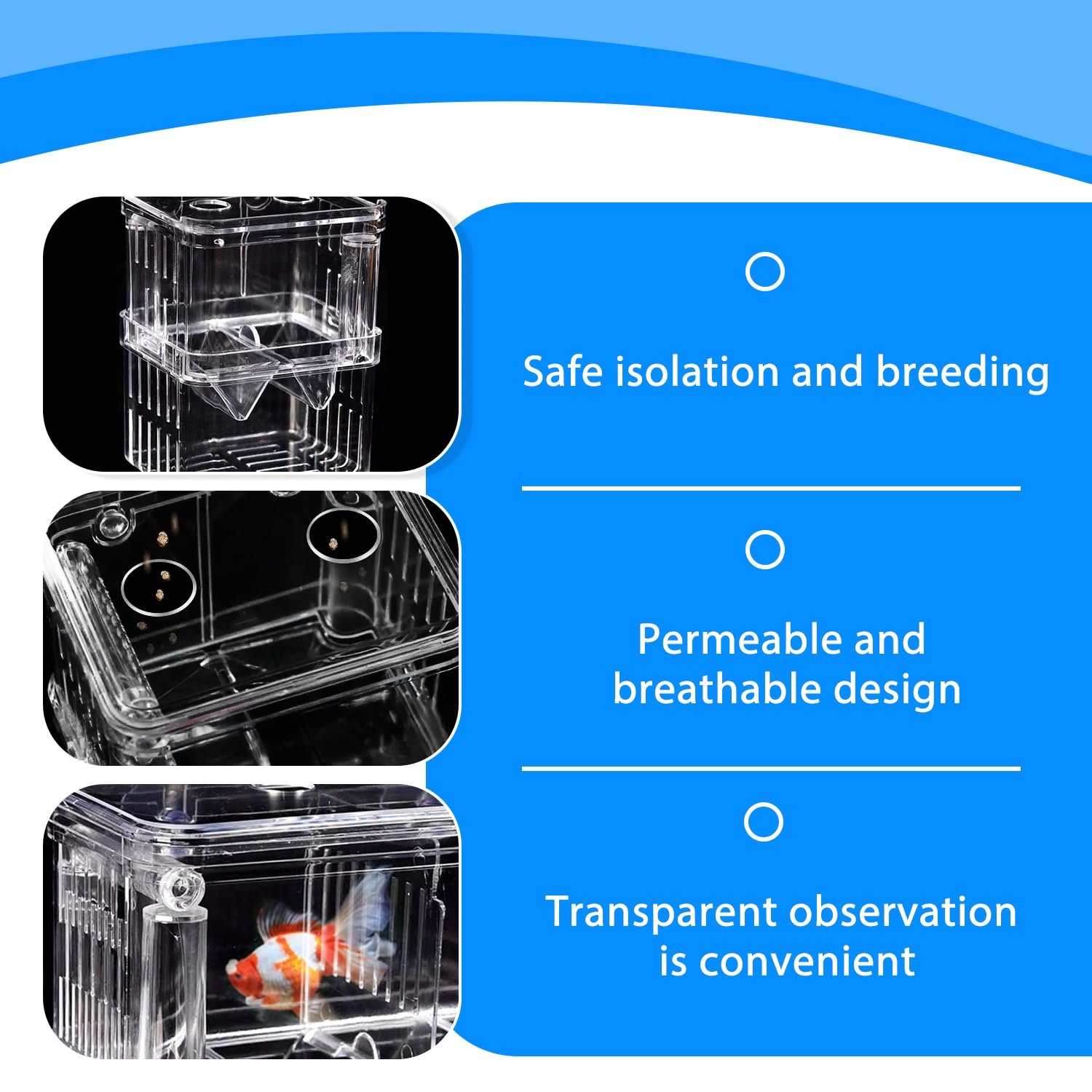 Scatola di allevamento per Guppy e specie tropicali, in plastica trasparente con serbatoio di isolamento, incubatrice galleggiante e divisore