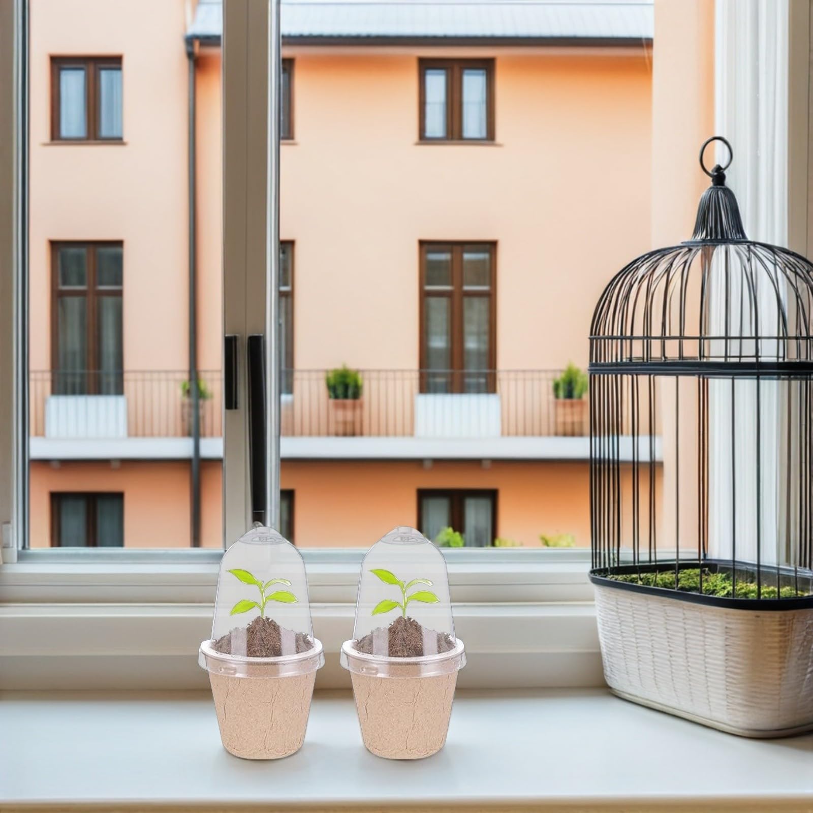 TOYANDONA 40 Stück Biologisch Abbaubare Rundpflanztöpfe aus Papierpulp Kleine Anzuchttöpfe für Samen und Jungpflanzen für Balkon Garten Schulprojekte und